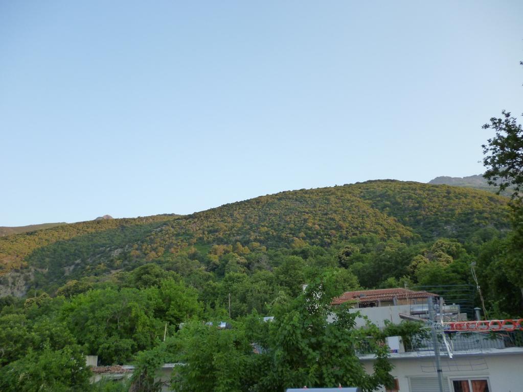 Hotel Galini Samothraki Therma  Zewnętrze zdjęcie