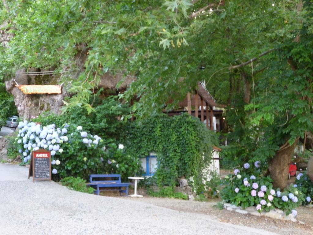 Hotel Galini Samothraki Therma  Zewnętrze zdjęcie