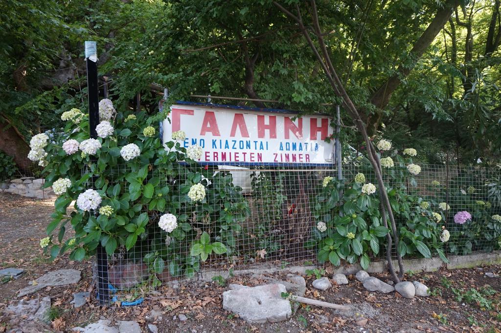 Hotel Galini Samothraki Therma  Zewnętrze zdjęcie