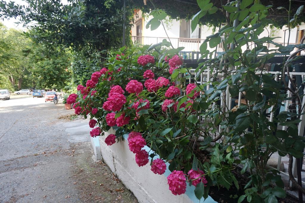 Hotel Galini Samothraki Therma  Zewnętrze zdjęcie